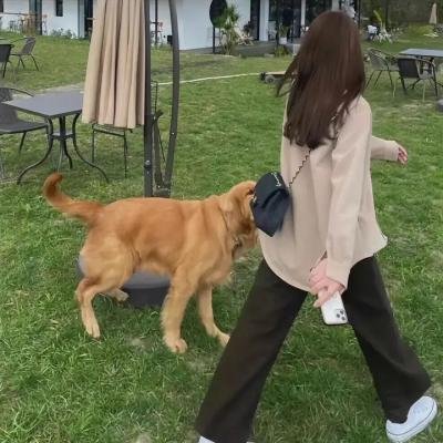 无言的旅程